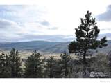 17556 Red Canyon Ranch Road - Photo 9