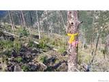 0 Gold Trail - Photo 2
