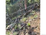 0 Gold Trail - Photo 4