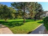 1024 Swallow Road - Photo 15