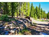 3533 Gamble Gulch Road - Photo 13