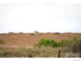 0 Weld County Road 90 - Photo 11