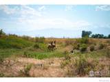 0 Weld County Road 90 - Photo 13