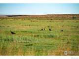 0 Weld County Road 90 - Photo 8