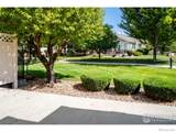 13676 Rock Point - Photo 14