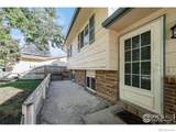 4630 2nd Street - Photo 25