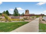 15875 Wild Horse Drive - Photo 40