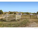 3604 Glade Road - Photo 7