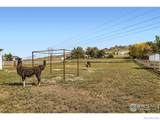 3604 Glade Road - Photo 10