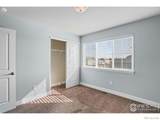 517 67th Avenue - Photo 17