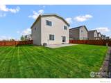 7307 Big Thompson Court - Photo 29