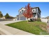 10134 Carefree Street - Photo 4