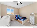 10103 Uravan Street - Photo 13