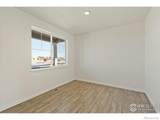 7323 27th Street - Photo 4