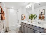 932 Logan Peak Way - Photo 17