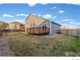4231 30th St Pl - Photo 29