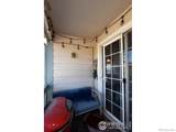 5151 29th Street - Photo 29