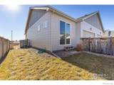244 Veronica Drive - Photo 23