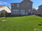 1202 Coyote Lane - Photo 42
