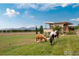 6686 Jay Road - Photo 36