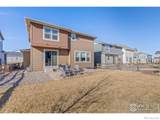 4084 Chasm Lake Drive - Photo 32