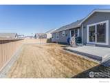 7157 Rye Grass Drive - Photo 25