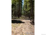 1001 Pactolus Lake Road - Photo 17