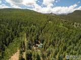 1001 Pactolus Lake Road - Photo 19