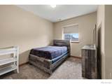 4546 Tarragon Drive - Photo 14
