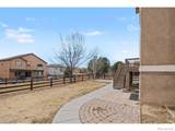 4546 Tarragon Drive - Photo 19