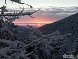 1000 Alaska Road - Photo 49
