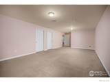 7067 Malaya Court - Photo 33