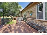 7067 Malaya Court - Photo 37