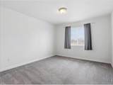 3325 Crazy Horse Drive - Photo 14