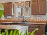 3325 Crazy Horse Drive - Photo 8
