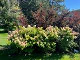 2916 Shields Street - Photo 42