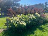 2916 Shields Street - Photo 43