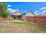 175 Lark Bunting Avenue - Photo 29