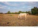 9421 Gunbarrel Ridge Road - Photo 46