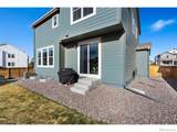 569 Navion Lane - Photo 30
