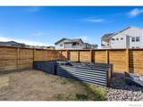 569 Navion Lane - Photo 31