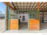 1613 Horseshoe Circle - Photo 42
