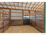 1613 Horseshoe Circle - Photo 46