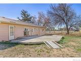 1912 Timberline Lane - Photo 16