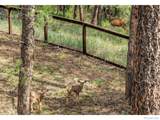 166 Cherokee Road - Photo 24