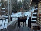 124 Ski Road - Photo 28