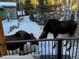 124 Ski Road - Photo 7