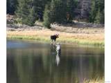 6097 County Road 73C - Photo 44