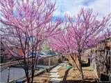 716 Maple Street - Photo 23