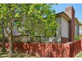 1736 Barberry Circle - Photo 49
